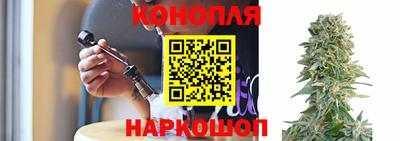 ПСИЛОЦИБИНОВЫЕ ГРИБЫ Можга